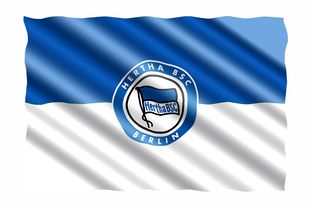 柏林赫塔连胜收官，德甲新生力量崛起，德甲柏林赫塔对柏林联合  第2张